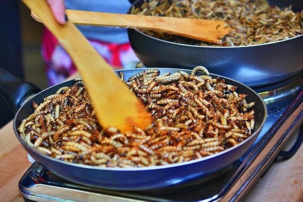 Thailand Export Outlook Bright For Edible Insects Asiaviews 4418